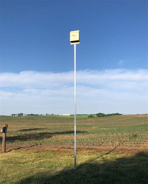 why people hang metal bat on the house|bat house mounted on post.